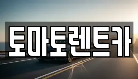 경기 성남시 분당구 대장동 렌트카 전문 토마토렌트카