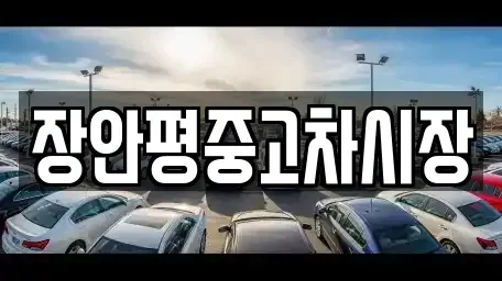 경기 성남시 분당구 대장동 중고차매매 전문 장안평중고차시장