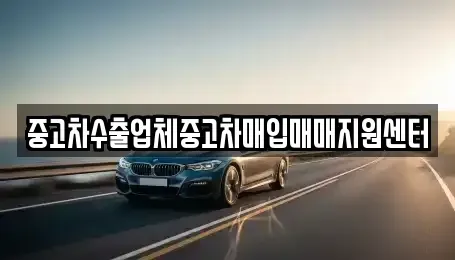 경기 성남시 분당구 대장동 중고차매매 전문 중고차수출업체중고차매입매매지원센터