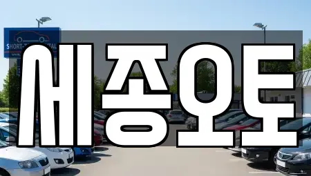 경기 수원시 권선구 탑동 렌트카 전문 세종오토