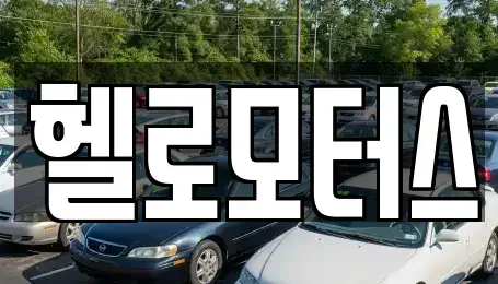경기 수원시 권선구 탑동 중고차 전문 헬로모터스