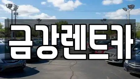 경기 수원시 장안구 파장동 렌트카 전문 금강렌트카
