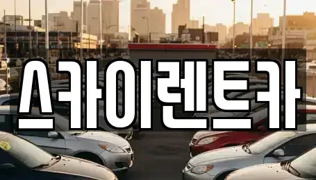 경기 수원시 장안구 파장동 렌트카 전문 스카이렌트카