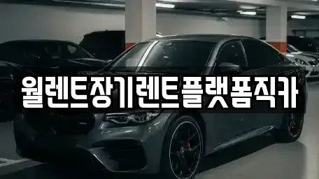 경기 수원시 장안구 파장동 장기렌트카 전문 월렌트장기렌트플랫폼직카