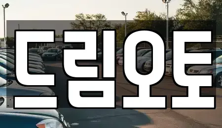 경기 수원시 장안구 파장동 중고차 전문 드림오토