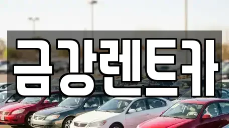 경기 수원시 팔달구 고등동 렌트카 전문 금강렌트카