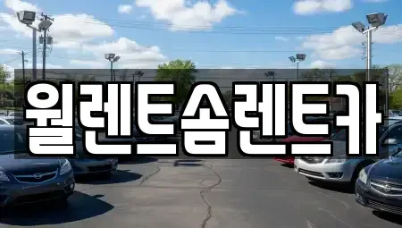 경기 수원시 팔달구 고등동 렌트카 전문 월렌트솜렌트카