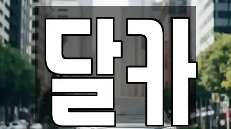 경기 수원시 팔달구 고등동 장기렌트카 전문 달카