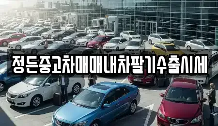 경기 안성시 낙원동 중고차매매 전문 정든중고차매매내차팔기수출시세