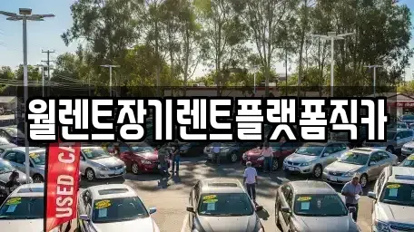 경기 안성시 동본동 장기렌트카 전문 월렌트장기렌트플랫폼직카