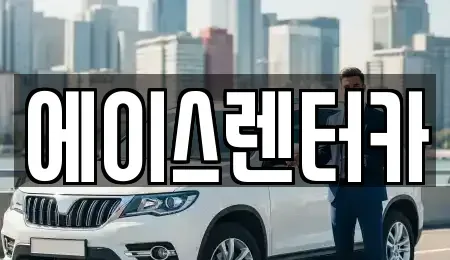 경기 안성시 신건지동 렌트카 전문 에이스렌터카