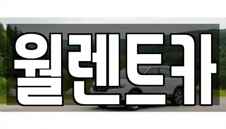경기 안성시 신건지동 렌트카 전문 월렌트카