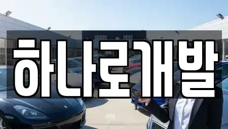 경기 안성시 신건지동 렌트카 전문 하나로개발