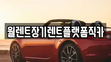 경기 안성시 신건지동 장기렌트카 전문 월렌트장기렌트플랫폼직카