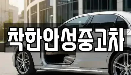 경기 안성시 신건지동 중고차,렌트카,중고차매입,중고차매매,장기렌트카,단기렌트카