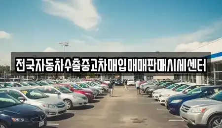 경기 안성시 신건지동 중고차매입 전문 전국자동차수출중고차매입매매판매시세센터