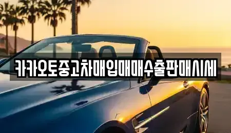 경기 안성시 신건지동 중고차매입 전문 카카오토중고차매입매매수출판매시세