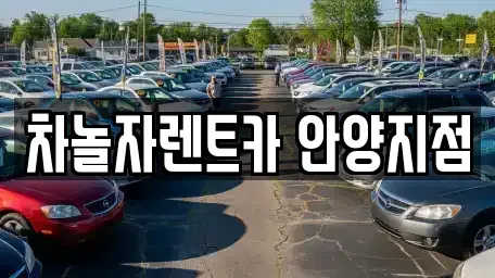 경기 안양시 동안구 호계동 렌트카 전문 차놀자렌트카 안양지점