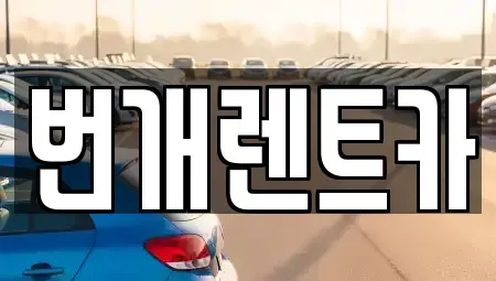경기 안양시 동안구 호계동 장기렌트카 전문 번개렌트카