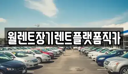 경기 안양시 동안구 호계동 장기렌트카 전문 월렌트장기렌트플랫폼직카