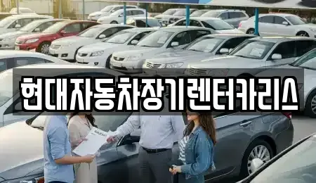 경기 안양시 동안구 호계동 장기렌트카 전문 현대자동차장기렌터카리스