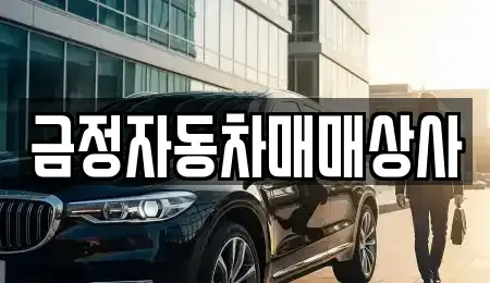 경기 안양시 동안구 호계동 중고차 전문 금정자동차매매상사