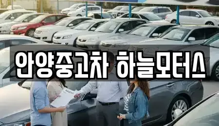 경기 안양시 동안구 호계동 중고차 전문 안양중고차 하늘모터스