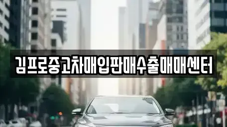 경기 안양시 동안구 호계동 중고차매입 전문 김프로중고차매입판매수출매매센터