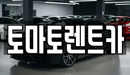 경기 양주시 고읍동 렌트카 전문 토마토렌트카