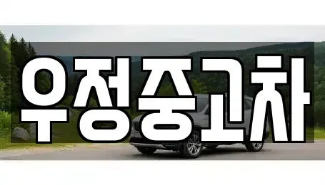 경기 양주시 고읍동 중고차 전문 우정중고차