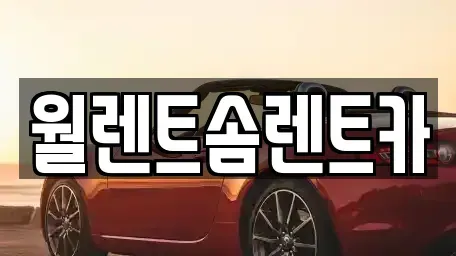 경기 오산시 은계동 렌트카 전문 월렌트솜렌트카