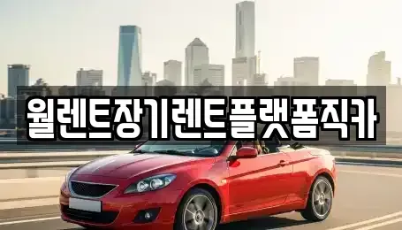 경기 오산시 은계동 렌트카 전문 월렌트장기렌트플랫폼직카