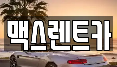 경기 용인시 기흥구 고매동 렌트카 전문 맥스렌트카