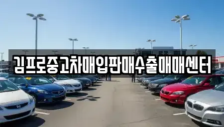 경기 용인시 기흥구 중동 중고차매입 전문 김프로중고차매입판매수출매매센터