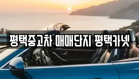 경기 평택시 합정동 중고차 전문 평택중고차 매매단지 평택카넷