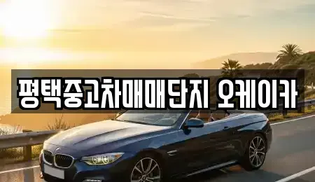 경기 평택시 합정동 중고차 전문 평택중고차매매단지 오케이카