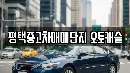 경기 평택시 합정동 중고차 전문 평택중고차매매단지 오토캐슬