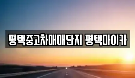 경기 평택시 합정동 중고차 전문 평택중고차매매단지 평택마이카
