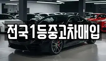 경기 평택시 합정동 중고차매입 전문 전국1등중고차매입