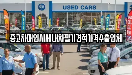 경기 평택시 합정동 중고차매입 전문 중고차매입시세내차팔기견적가격수출업체