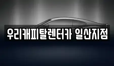 경기도 고양시 일산서구 덕이동 렌트카,단기렌트카,장기렌트카,중고차,중고차매매,중고차매입