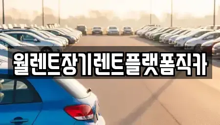 경기도 고양시 일산서구 덕이동 장기렌트카 전문 월렌트장기렌트플랫폼직카