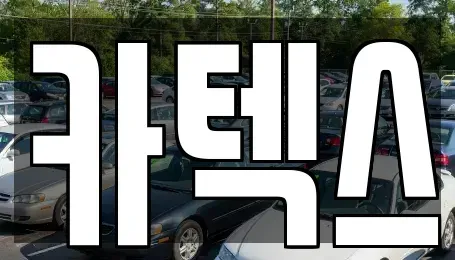 경기도 고양시 일산서구 덕이동 장기렌트카 전문 카텍스