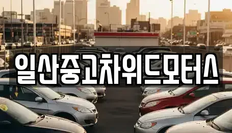 경기도 고양시 일산서구 덕이동 중고차 전문 일산중고차위드모터스