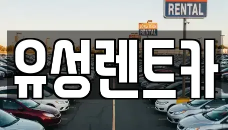 경기도 수원시 팔달구 장안동 렌트카 전문 유성렌트카