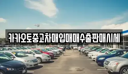 경기도 수원시 팔달구 장안동 단기렌트카,중고차매입,중고차매매,중고차,렌트카,장기렌트카