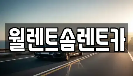 경기도 안성시 신모산동 렌트카 전문 월렌트솜렌트카