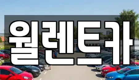 경기도 안성시 신모산동 렌트카 전문 월렌트카