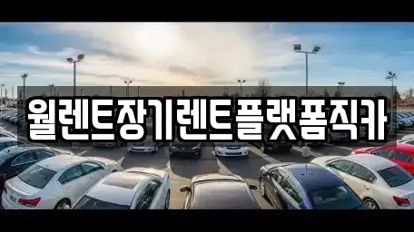 경기도 안성시 신모산동 장기렌트카 전문 월렌트장기렌트플랫폼직카