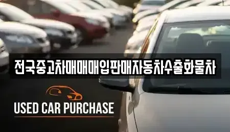 경기도 안성시 신모산동 중고차 전문 전국중고차매매매입판매자동차수출화물차